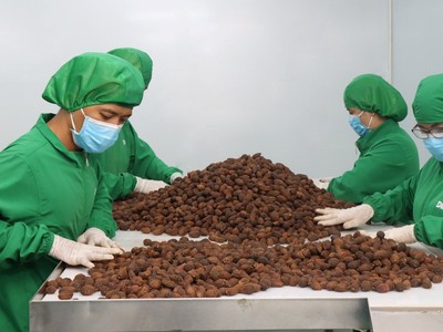 Tính chung 5 tháng đầu năm, giá trị xuất khẩu nông sản tăng 27,7%.