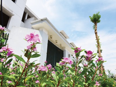 Các luật có hiệu lực sớm hơn kế hoạch sẽ là trợ lực tốt hơn cho giai đoạn đầu phục hồi này. Ảnh: Dũng Minh 