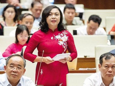 Đại biểu Đặng Bích Ngọc (Hòa Bình) chất vấn Bộ trưởng Đặng Quốc Khánh