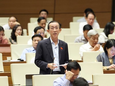 Đại biểu Trần Hoàng Ngân (TPHCM) tham gia thảo luận.