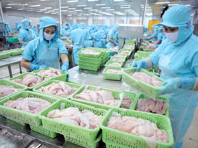 Tính đến cuối tháng 4/2024, giá cá tra fillet xuất khẩu sang Mỹ đạt 3 USD/kg, tăng 20% so với cuối năm 2023 