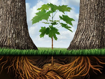 Giảm sở hữu chéo ngân hàng, cần thêm công cụ