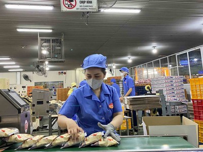 Doanh nghiệp Việt còn nhiều hạn chế trong đổi mới sáng tạo theo hướng công nghệ xanh