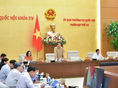 Phó chủ tịch Quốc hội Nguyễn Đức Hải điều hành phiên thảo luận.