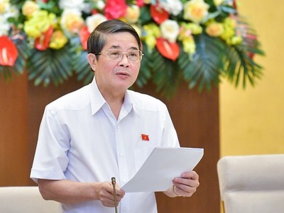 Phó chủ tịch Quốc hội Nguyễn Đức Hải phát biểu kết luận.