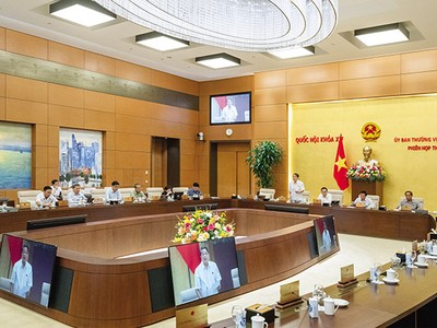 Phó chủ tịch Quốc hội Nguyễn Đức Hải phát biểu kết luận