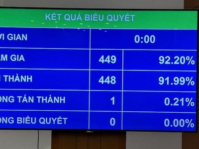 Kết quả biểu quyết lập đoàn giám sát.