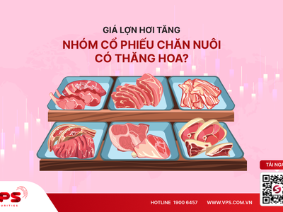 Giá lợn hơi tăng, nhóm cổ phiếu chăn nuôi có thăng hoa?