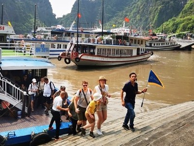 6 tháng đầu năm 2024, ngành dịch vụ sôi động hơn cả với hơn 60.000 doanh nghiệp mới