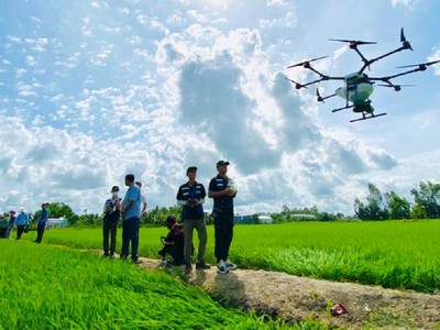 Thiết bị bay không người lái (Drone/UAV) sẽ thay thế người nông dân thực hiện phun thuốc bảo vệ thực vật trên đồng ruộng.