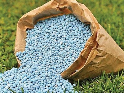 Bộ Nông nghiệp nói gì về việc áp thuế 5% với mặt hàng phân bón?