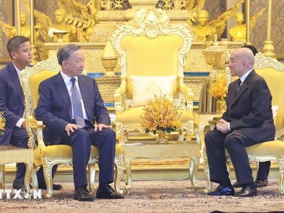 Chủ tịch nước Tô Lâm hội kiến Quốc vương Norodom Sihamoni tại Cung điện Hoàng gia Campuchia. (Ảnh: TTXVN)