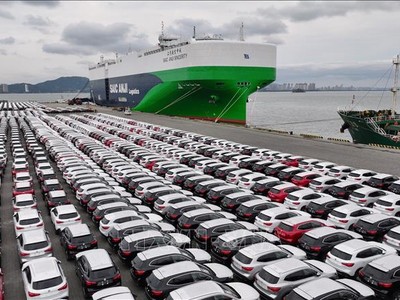 Xe ô tô chờ xuất khẩu tại cảng ở tỉnh Phúc Kiến, Trung Quốc ngày 23/1/2024. Ảnh minh họa: THX/TTXVN