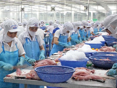 Thủy sản là một trong những ngành xuất khẩu chủ lực của Việt Nam. Năm 2023, kim ngạch xuất khẩu thủy sản đạt 9,2 tỷ USD, dự báo năm 2024 đạt 9,5 - 10 tỷ USD