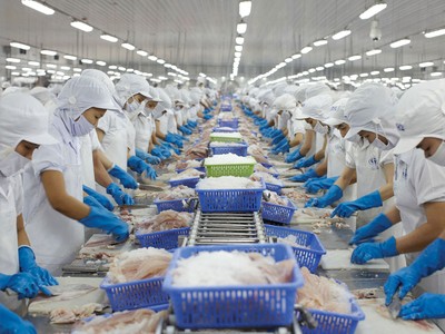 Từ đầu năm 2024 đến nay, xuất khẩu thủy sản, dệt may dần tăng trưởng trở lại