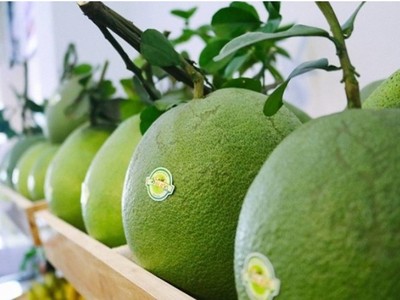 Hàn Quốc chính thức cấp phép nhập khẩu quả bưởi của Việt Nam 