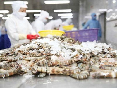 Năm 2025, xuất khẩu thuỷ sản kỳ vọng trở lại mốc 11 tỷ USD