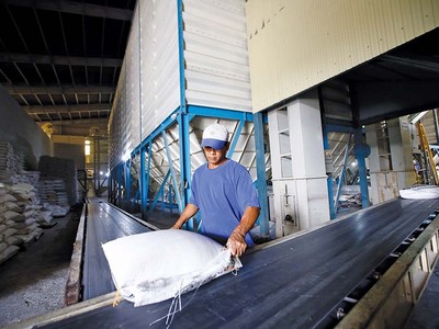 Nhiều nông sản của Việt Nam, trong đó có gạo, được xuất khẩu sang thị trường Mỹ. Ảnh: Đức Thanh