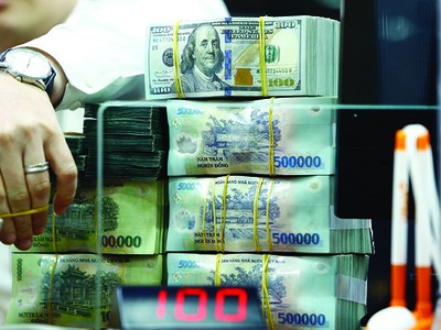 Nhiều ngân hàng thương mại đang đứng trước khó khăn kép về nợ xấu. Ảnh: Đức Thanh