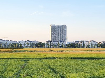 Thừa Thiên Huế đầu tư Trung tâm giới thiệu sản phẩm xây dựng 131 tỷ đồng