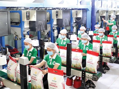 Xuất khẩu gạo của Việt Nam năm 2024 có thể cán mốc 8 triệu tấn, thu về hơn 5 tỷ USD, lập kỷ lục mới