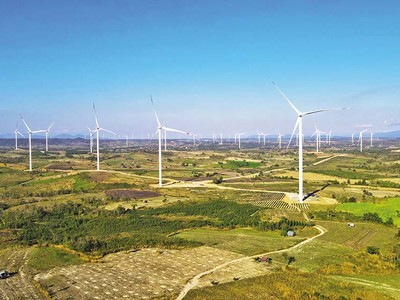 Tại Dự án Nhà máy Điện gió Chơ Long, UBND tỉnh Gia Lai đã ban hành quyết định giao đất, cho thuê đất có sai phạm.