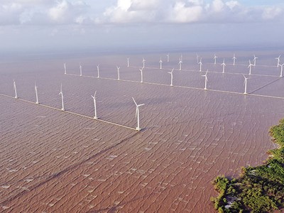 Việt Nam đặt mục tiêu đến năm 2030, công suất điện gió ngoài khơi phục vụ nhu cầu điện trong nước đạt khoảng 6.000 MW 