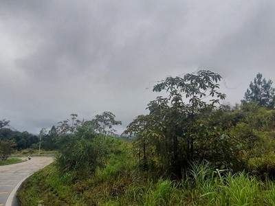 Hiện nay, Nha Trang đi Đà Lạt chỉ có một con đường là Quốc lộ 27C, thời gian di chuyển 3 - 4 giờ, địa hình quanh co, thường xuyên sạt lở. Ảnh: Linh Đan 