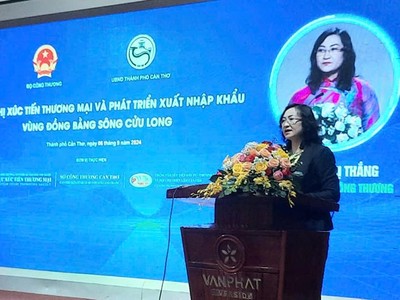 Thứ trưởng Bộ Công Thương Phan Thị Thắng phát biểu khai mạc Hội nghị.