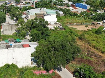 Dự thảo lần này chỉ quy định tách thửa với 2 loại đất là đất nông nghiệp và đất ở. (Ảnh: Lê Toàn)