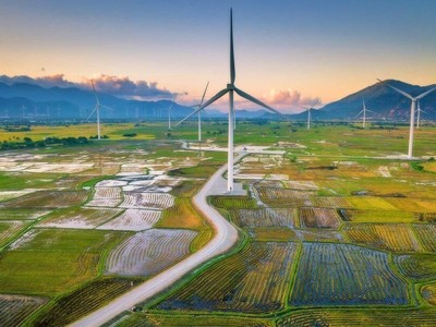 Trang trại điện gió Đầm Nại là một điểm check in được giới trẻ yêu thích tại Ninh Thuận. Ảnh: sưu tầm