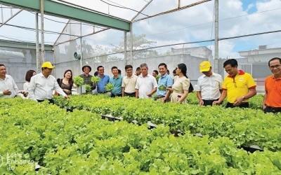 Việc hỗ trợ doanh nghiệp nhỏ và vừa trong lĩnh vực nông nghiệp năm 2024 sẽ tiếp thêm động lực, cơ hội phát triển, mở rộng thị trường cho các doanh nghiệp trong lĩnh vực này. 