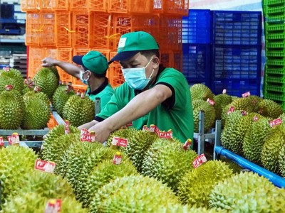 Ngành rau quả tiếp tục duy trì "phong độ" nửa đầu tháng 9 mang về 460 triệu USD.