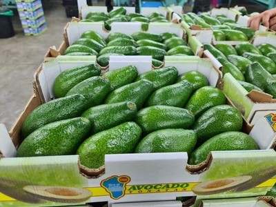 Đề xuất Trung Quốc mở cửa thị trường cho trái bơ, na, roi, thảo quả của Việt Nam