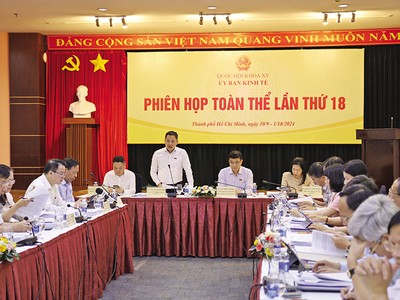 Ông Nguyễn Đình Việt (đứng), Phó chủ nhiệm Ủy ban Kinh tế của Quốc hội điều hành phiên thảo luận đánh giá kết quả thực hiện Kế hoạch Phát triển kinh tế - xã hội năm 2024 