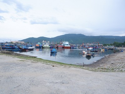 Đà Nẵng đang triển khai đồng thời Dự án Nạo vét âu thuyền Thọ Quang và Dự án Đầu tư xây dựng nâng cấp, mở rộng cảng cá Thọ Quang (giai đoạn 2). 