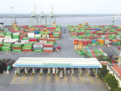 Ở mảng logistics, Viconship muốn bổ sung mảnh ghép còn thiếu là vận tải biển