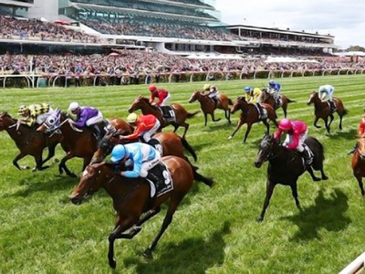 HH Rồng Vàng đang lựa chọn xét duyệt 50 đại lý cá cược đua ngựa trên cả nước