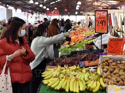 Người dân chọn mua thực phẩm tại một khu chợ ở Melbourne, Australia. Ảnh minh họa: AFP/TTXVN
