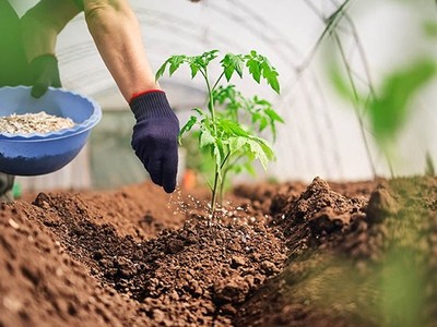 Nhiều ý kiến hiện ủng hộ phương án áp thuế giá trị gia tăng 5% đối với phân bón.