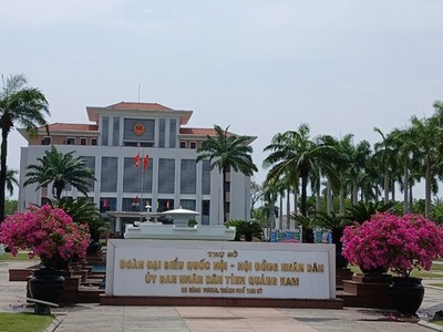 Quảng Nam phản hồi về đề xuất thăm dò vàng gốc trên diện tích 16 km2 