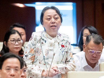 Đại biểu Phạm Khánh Phong Lan tham gia thảo luận.