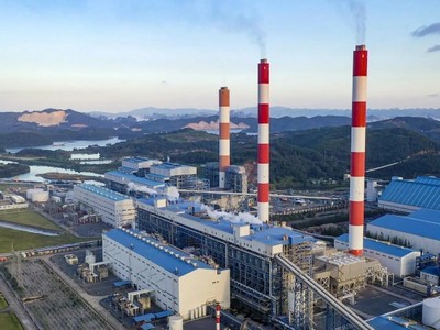 Hạn ngạch phát thải và tín chỉ carbon là hai loại hàng hóa chính trên thị trường carbon Việt Nam.