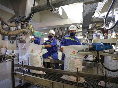 Việc đưa phân bón ra khỏi danh mục chịu thuế giá trị gia tăng tưởng lợi mà lại trở nên bất cập