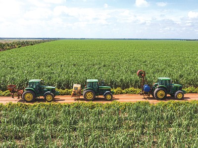 Sản lượng mía thu hoạch niên vụ 2023 - 2024 của ngành mía đường Việt Nam đạt hơn 11,2 triệu tấn, tăng 17,9%