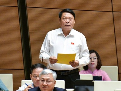 Đại biểu Nguyễn Thành Nam phát biểu.