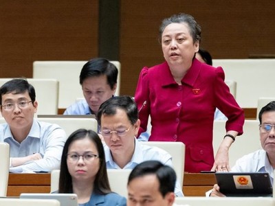 Đại biểu Phạm Khánh Phong Lan (TP.HCM).