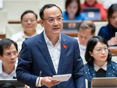 Đại biểu Nguyễn Ngọc Sơn (Hải Dương) đặt vấn đề giảm thêm lãi suất