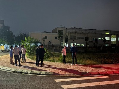 Chuyên gia dự báo 2025 sẽ là năm của đất nền và biệt thự 