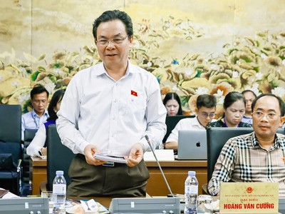 Đại biểu Hoàng Văn Cường phát biểu tại tổ.